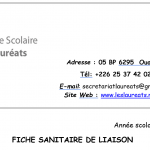 fiche sanitaire image